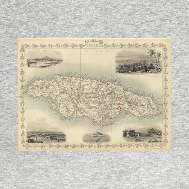 Vintage Map of Jamaica (1851) by Bravuramedia